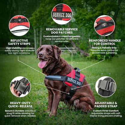 Emotional Support Dog Vest Harness with Reflective Straps, Interchangeable Patches, and Matching ESA Leash Set - ESA Dog Vest in 7 Adjustable Sizes - Heavy Duty Vests for Working or in Training Dogs