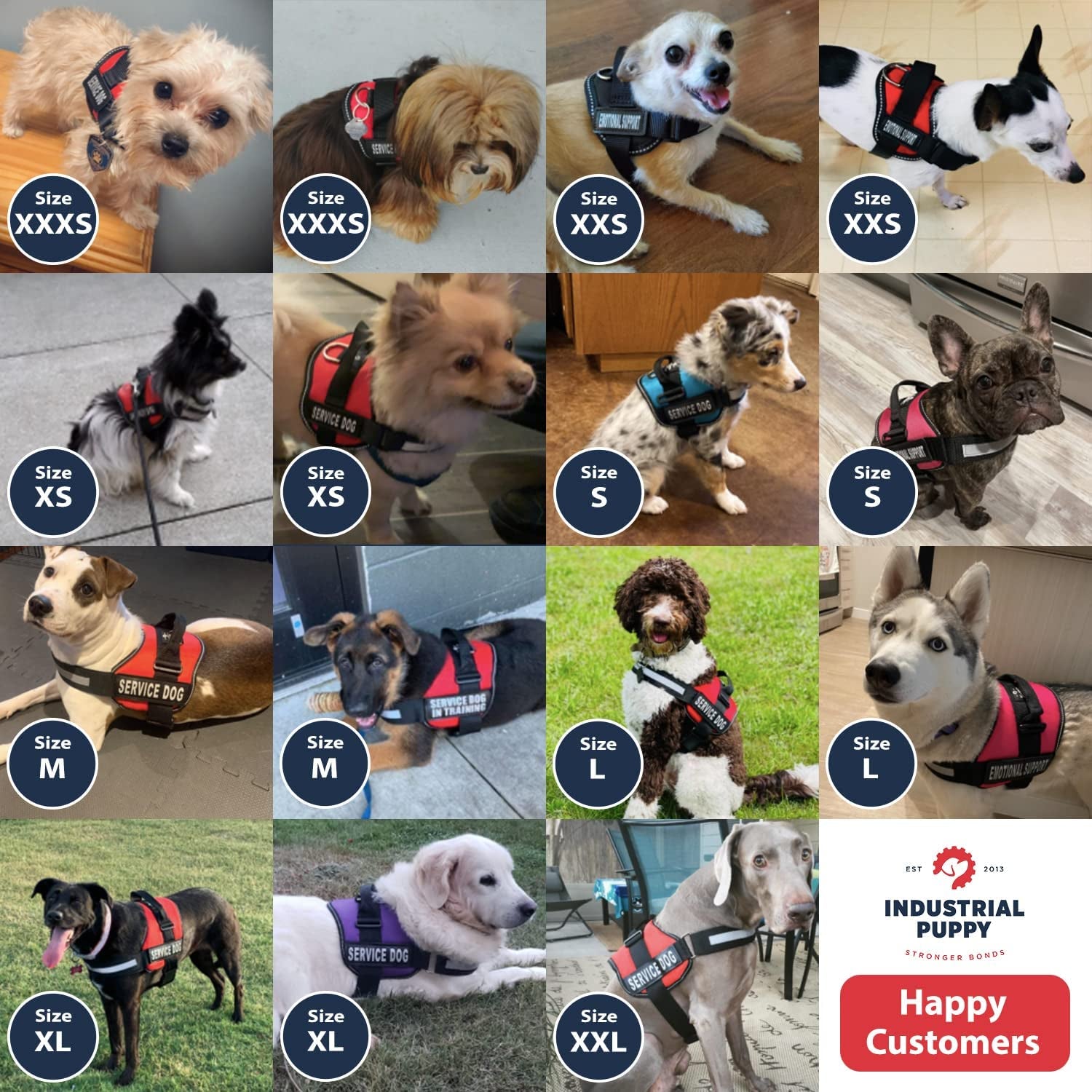 Emotional Support Dog Vest Harness with Reflective Straps, Interchangeable Patches, and Matching ESA Leash Set - ESA Dog Vest in 7 Adjustable Sizes - Heavy Duty Vests for Working or in Training Dogs